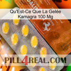 What Is Kamagra Jelly 100Mg 42